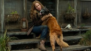 The Walking Dead 10. évad Ep.18 Találj meg!