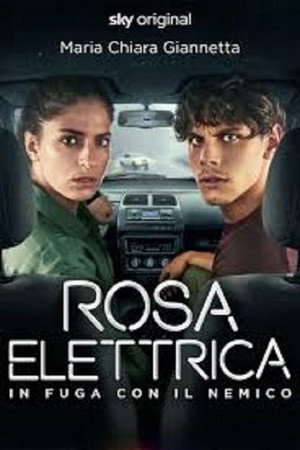 Rosa Elettrica - In fuga con il nemico poszter