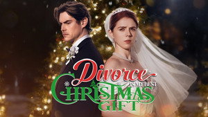 Divorce Is My Best Christmas Gift kép