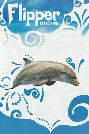 Flipper 1. évad (1964-09-19) poszter