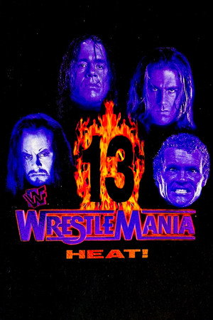 WWE Pay Per View 13. évad (1997-01-19) poszter