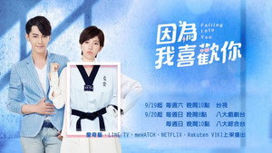 因為我喜歡你 kép