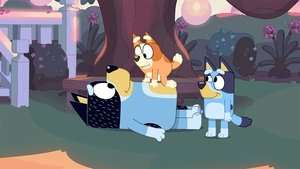 Bluey 1. évad Ep.51 Apás este
