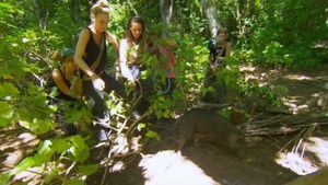 The Island with Bear Grylls 2. évad Ep.8 8. epizód