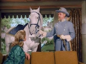 Bewitched 2. évad Ep.9 9. epizód