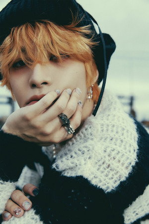 양양 profil kép