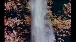 Mutual of Omaha's Wild Kingdom 2. évad Ep.11 11. epizód