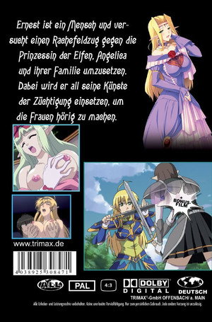 姫騎士アンジェリカ poszter