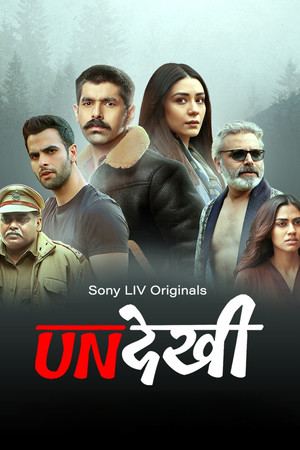 अनदेखी poszter