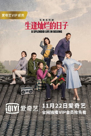 生逢灿烂的日子 poszter