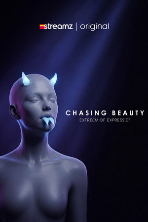Chasing Beauty 4. évad () poszter