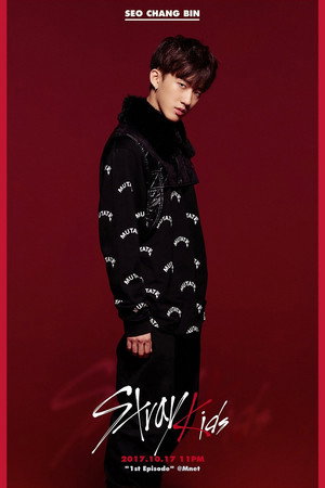 스트레이 키즈 poszter