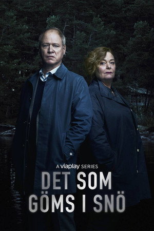Det som göms i snö poszter