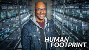Human Footprint kép