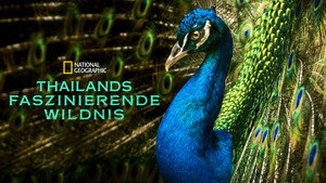 Thailand's Wild Side kép