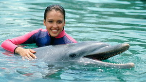 Flipper kép