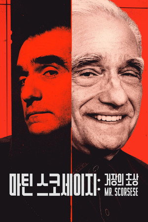 Mr. Scorsese poszter