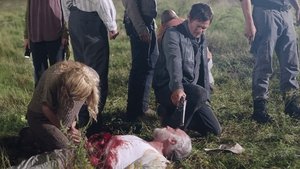 The Walking Dead 2. évad Ep.11 Bíró, esküdt, hóhér