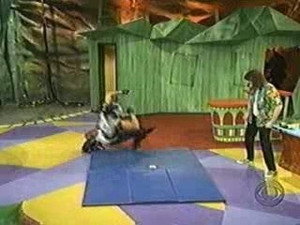 The Weird Al Show 1. évad Ep.13 13. epizód