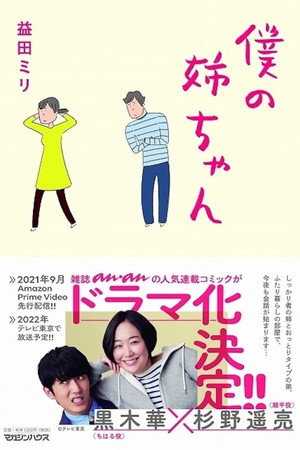 僕の姉ちゃん poszter