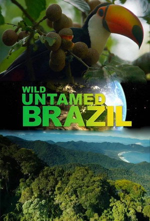 Érintetlen Brazília poszter