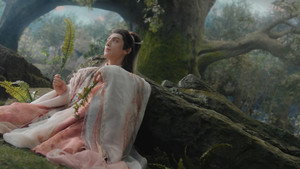 水龙吟 kép