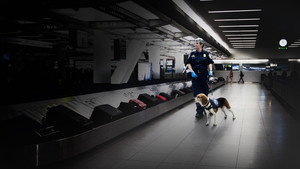 Drogfogások a repülőtéren kép