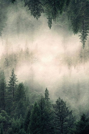 Twin Peaks poszter
