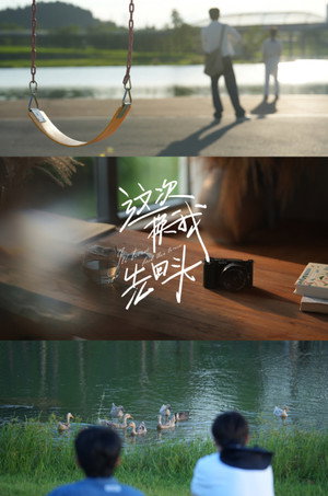 这次换我先回头 poszter