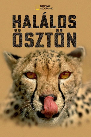 Halálos ösztön