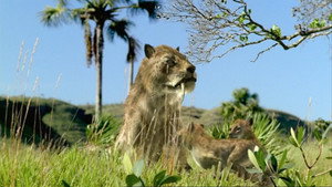 Walking with Beasts kép