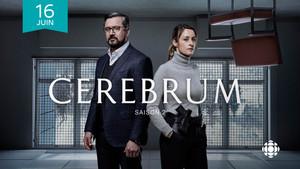 Cerebrum kép