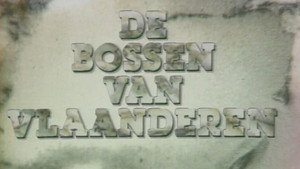 De Bossen Van Vlaanderen kép