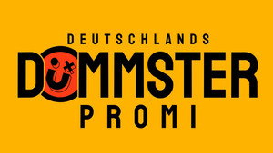 Deutschlands dümmster Promi kép
