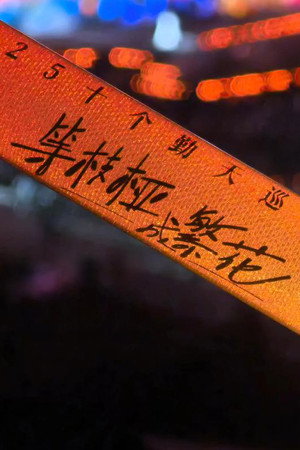 十个勤天巡回演唱会 25. évad (2025-06-13) poszter