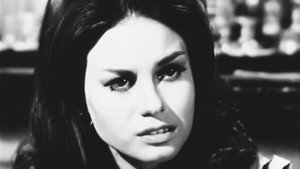 Peyton Place 2. évad Ep.130 130. epizód
