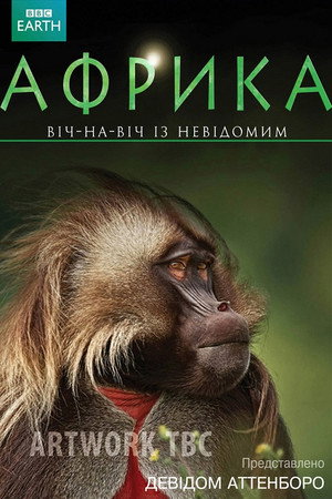 A varázslatos Afrika poszter