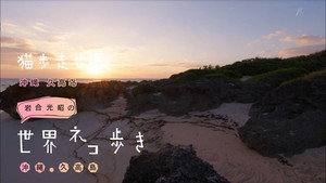 岩合光昭の世界ネコ歩き 1. évad Ep.71 71. epizód