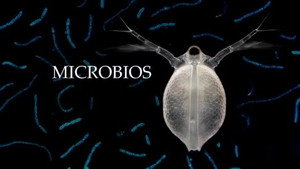 Planeta Microbio 1. évad Ep.1 1. epizód