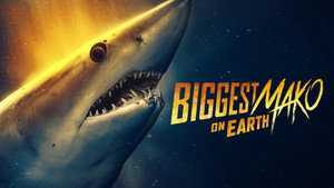 Shark Week 39. évad Ep.6 6. epizód