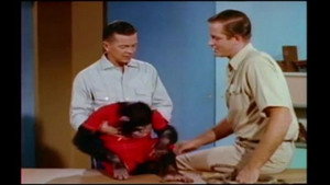 Mutual of Omaha's Wild Kingdom 2. évad Ep.6 6. epizód