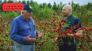 Proyecto Tierras 4. évad Ep.2 2. epizód