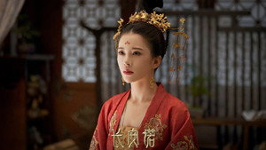 长安诺 kép