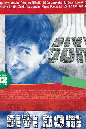 Sivi dom poszter