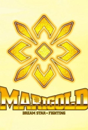 マリーゴールド poszter