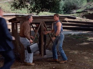 Quincy, M.E. 8. évad Ep.21 21. epizód