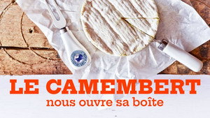Le Doc du dimanche 17. évad Ep.17 17. epizód