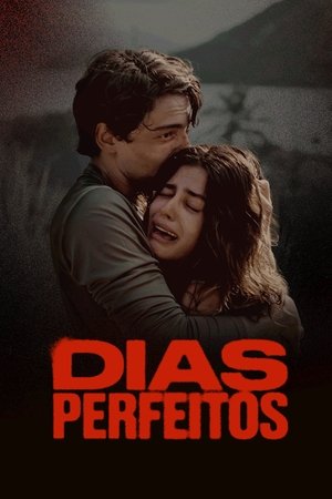 Dias Perfeitos 1. évad (2025-08-14) poszter