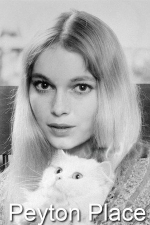 Peyton Place poszter