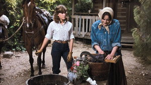 The Waltons 8. évad Ep.3 3. epizód
